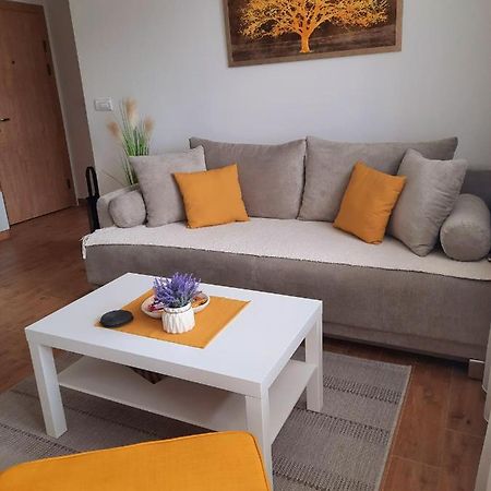 Bankovic Apartman Vrnjačka Banja Exterior foto