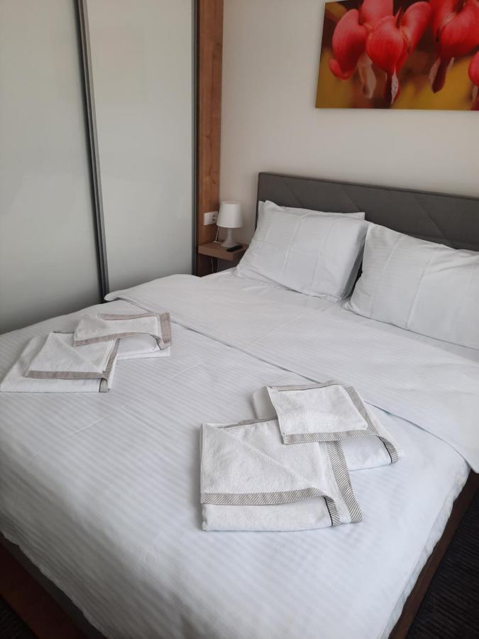 Bankovic Apartman Vrnjačka Banja Exterior foto